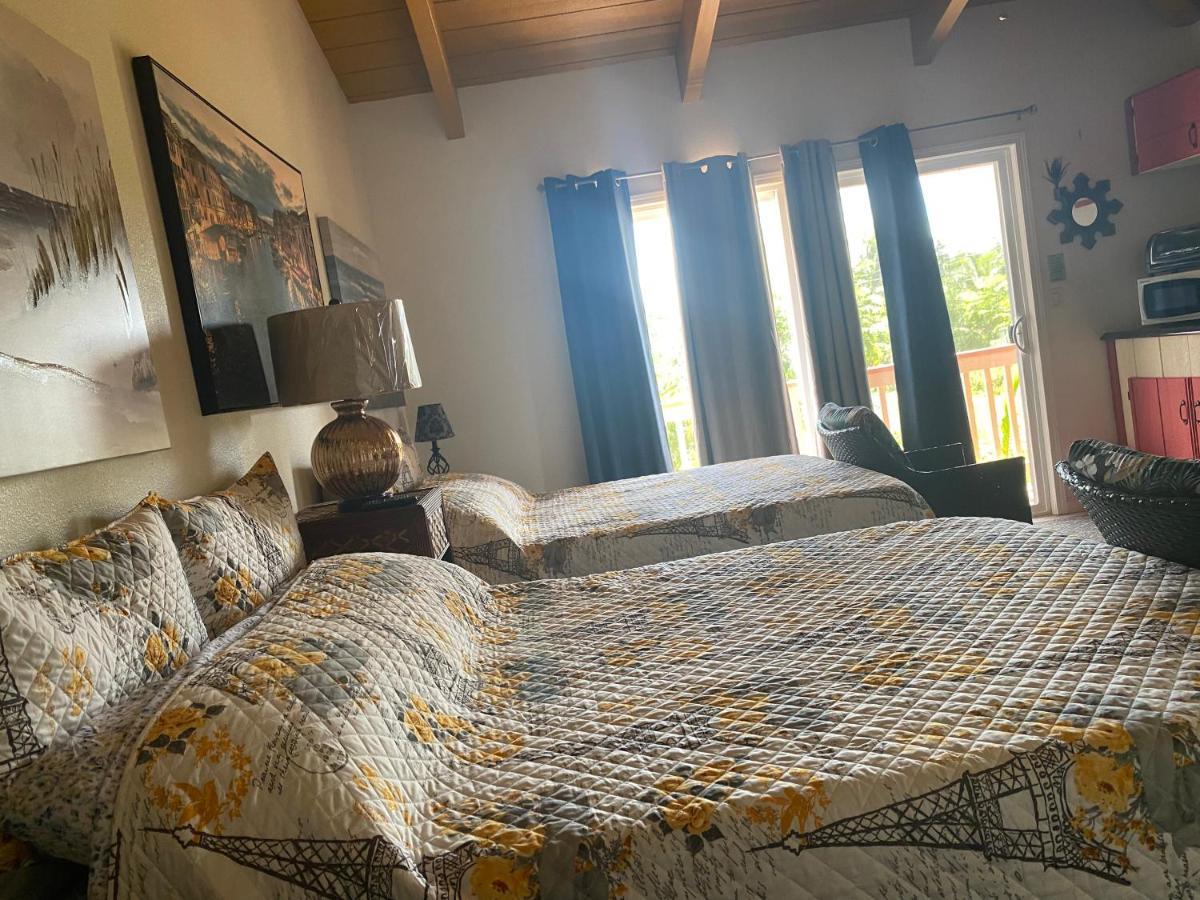 Nice Studio W/ Ac Near Kehena Beach And Lava Fields Luaran gambar