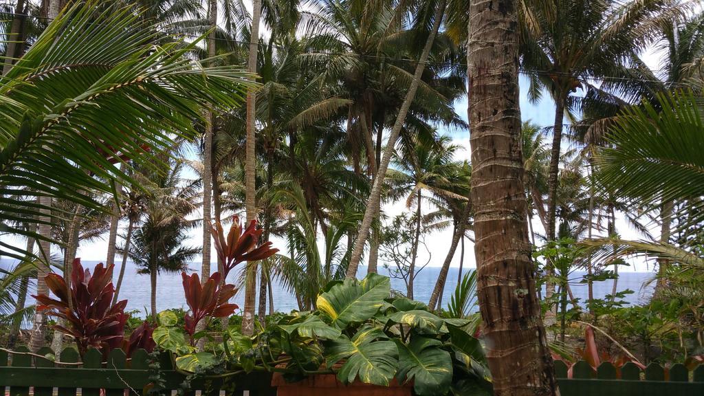 Nice Studio W/ Ac Near Kehena Beach And Lava Fields Bilik gambar